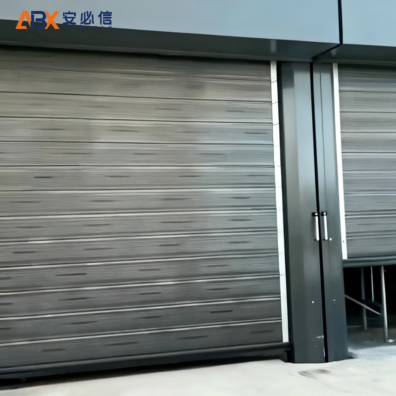 阿克苏雷达高速门